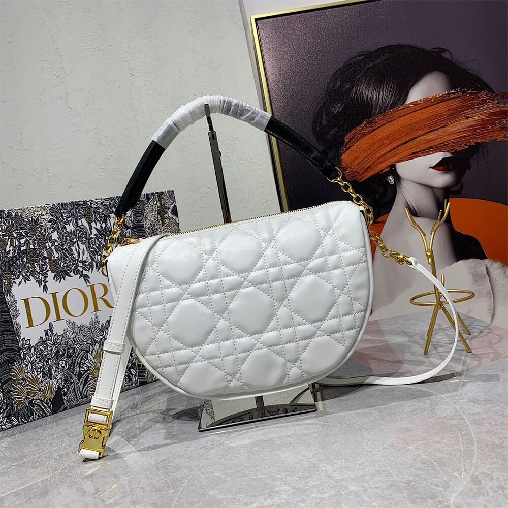 medium D10r vibe hobo bag