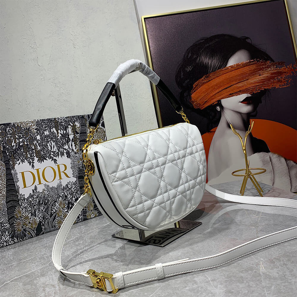 medium D10r vibe hobo bag