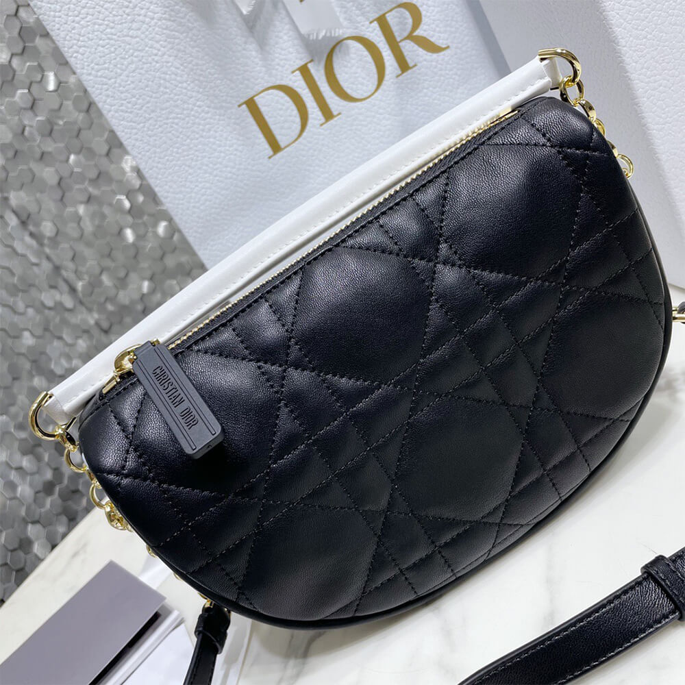 small D10r vibe hobo bag