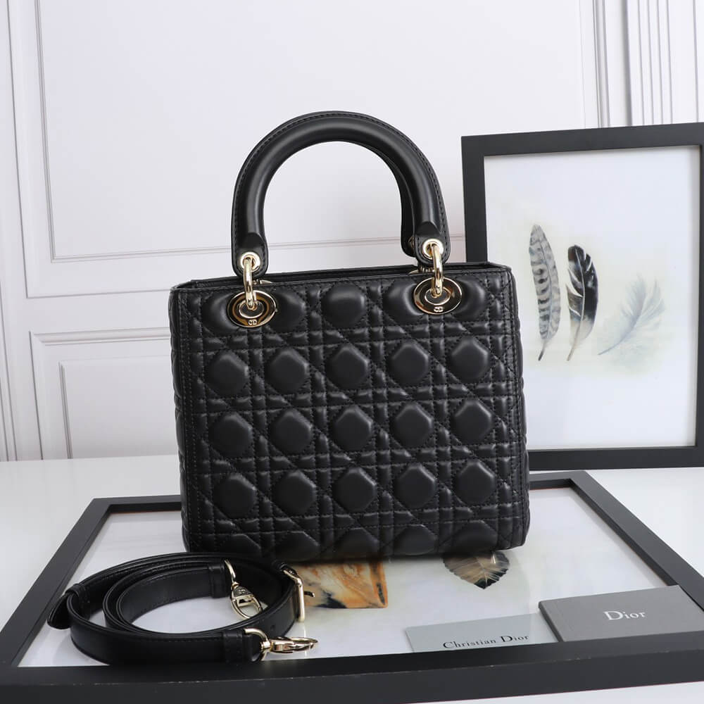 medium lady D10r bag