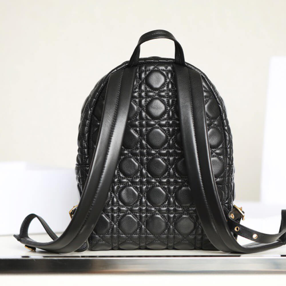small D10r backpack
