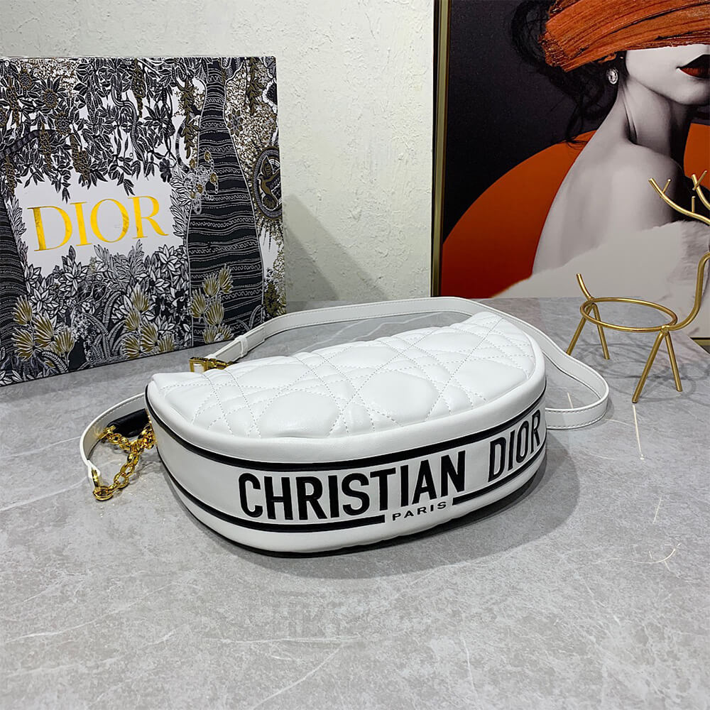 medium D10r vibe hobo bag