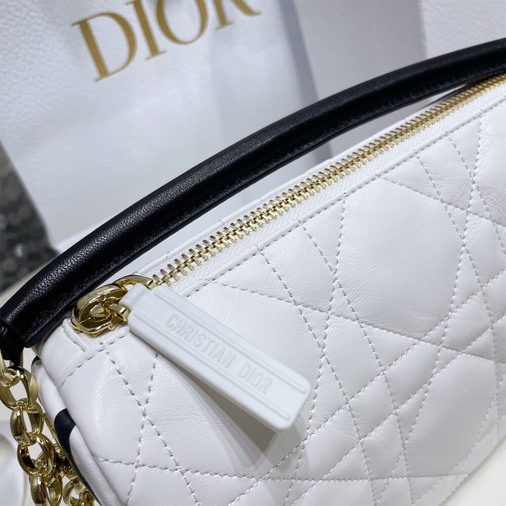 small D10r vibe hobo bag