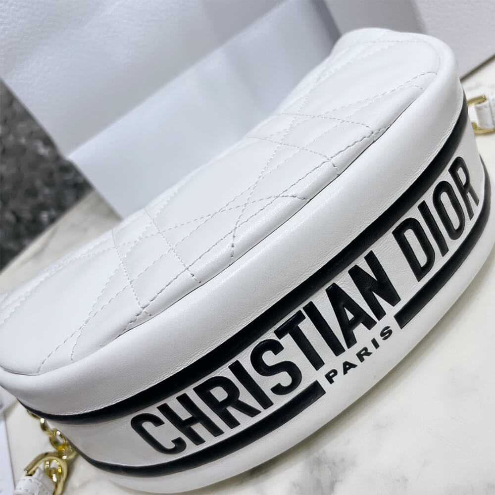 small D10r vibe hobo bag