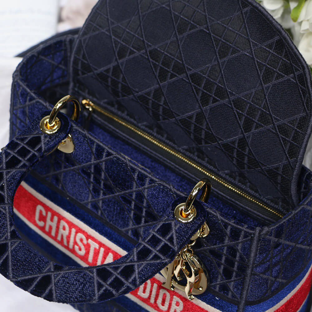 D10r medium lady d-lite bag