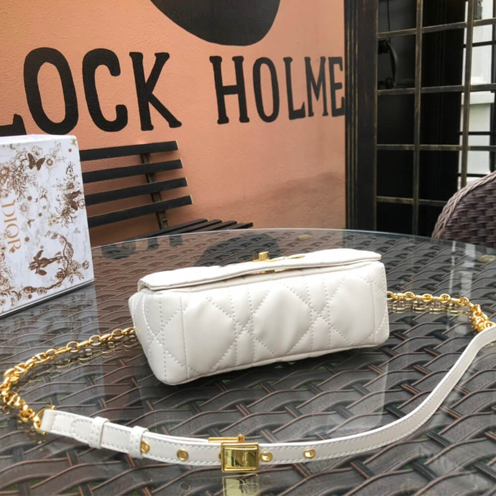 small D10r caro bag