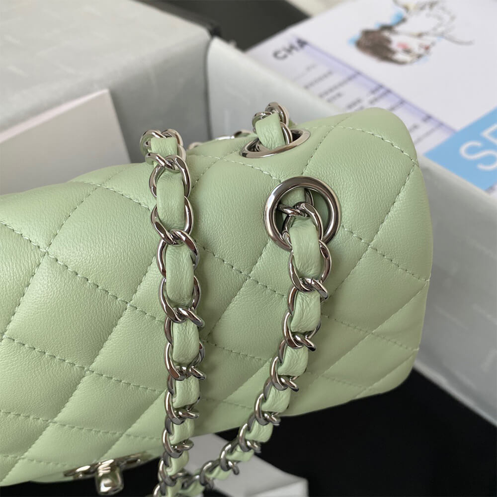 Ch**el classic flap medium silver hardware