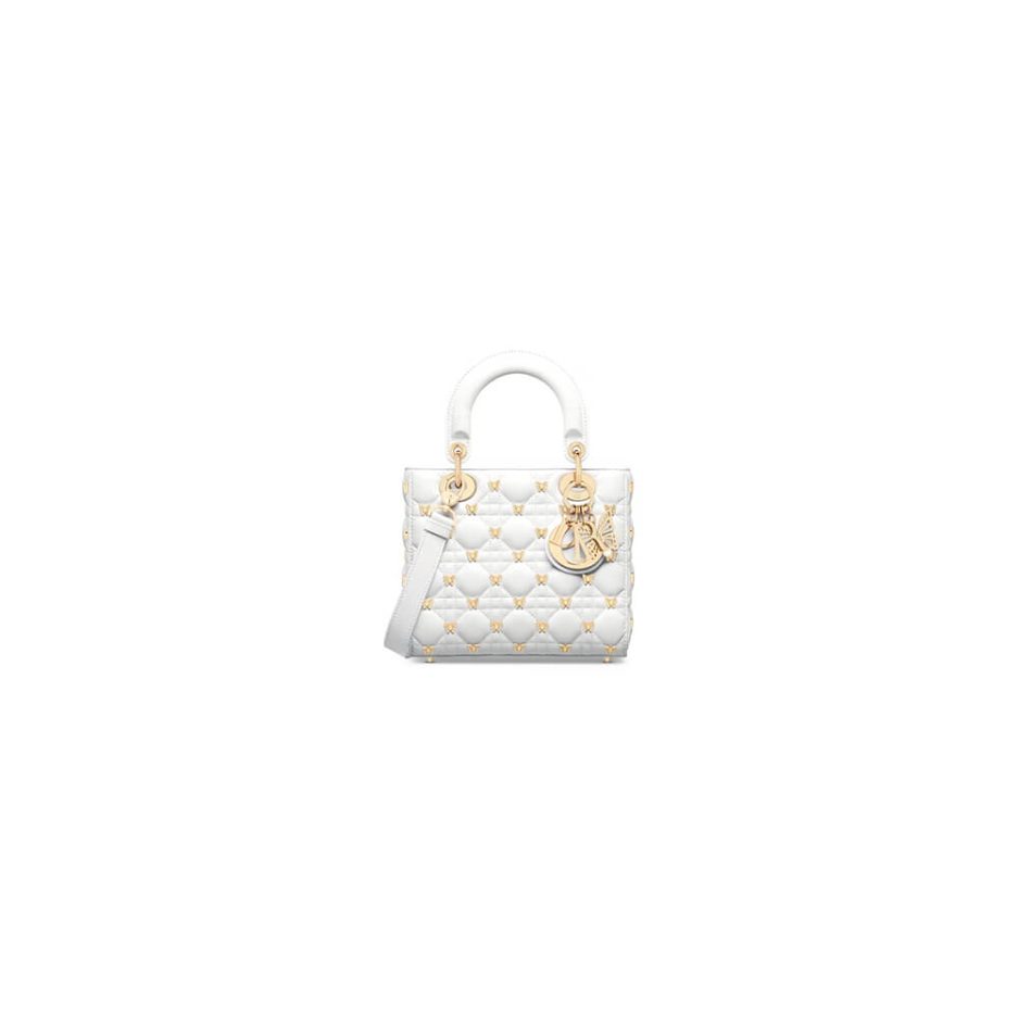 small lady D10r bag