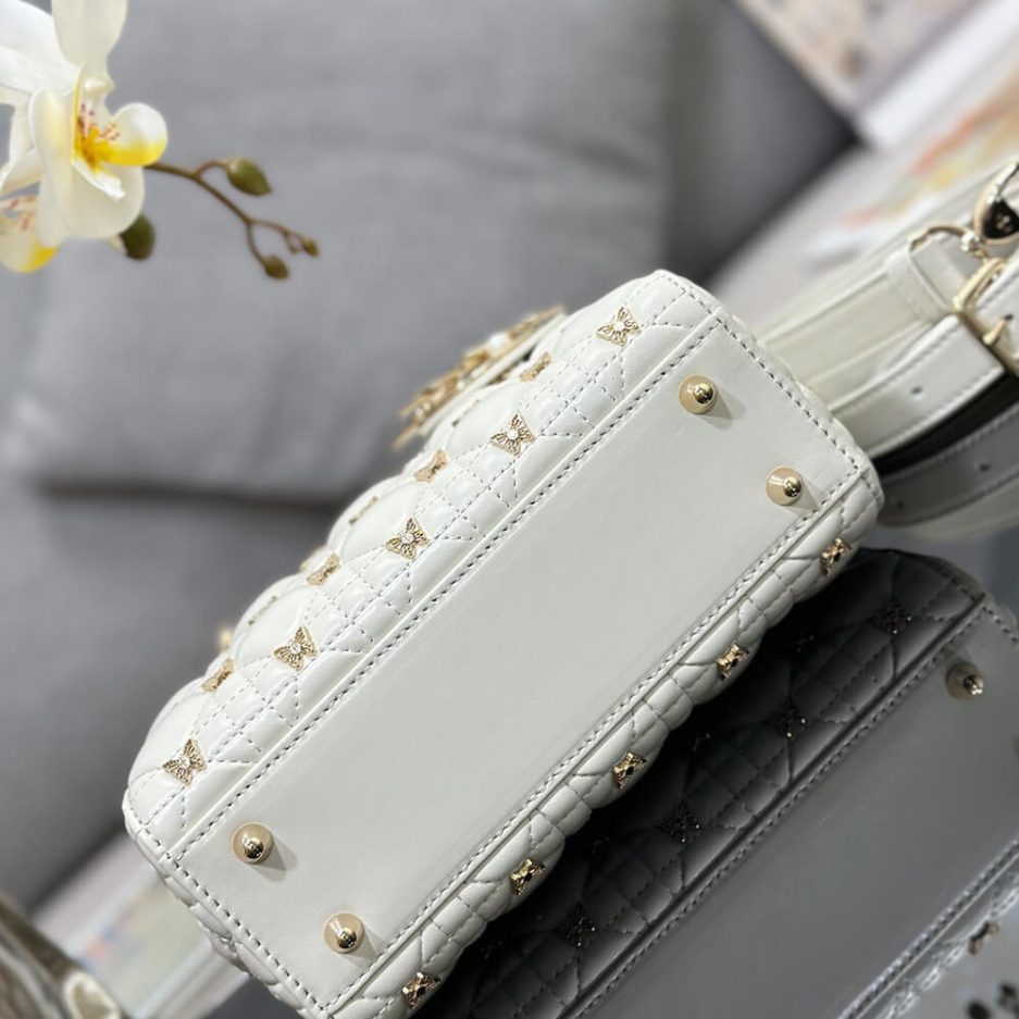small lady D10r bag