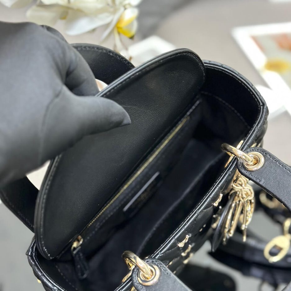 small lady D10r bag