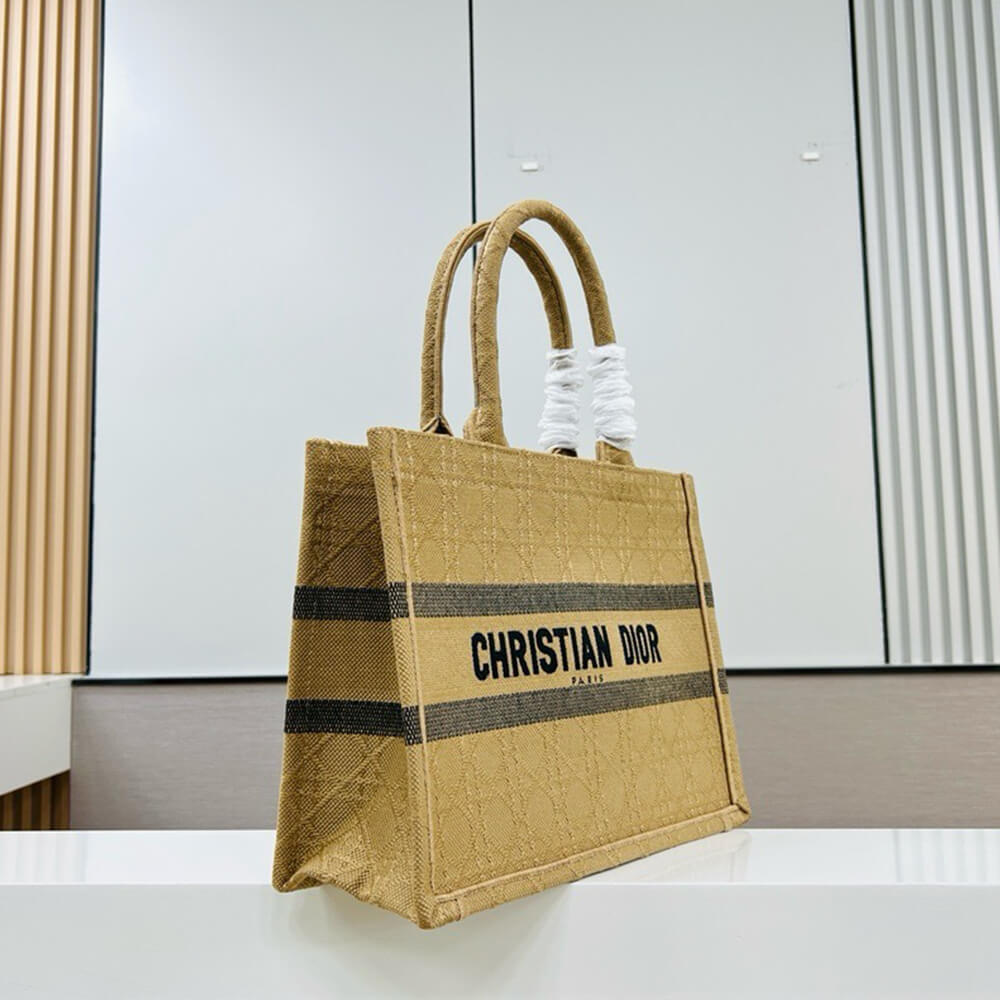 medium D10r book tote