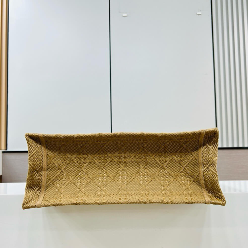 medium D10r book tote
