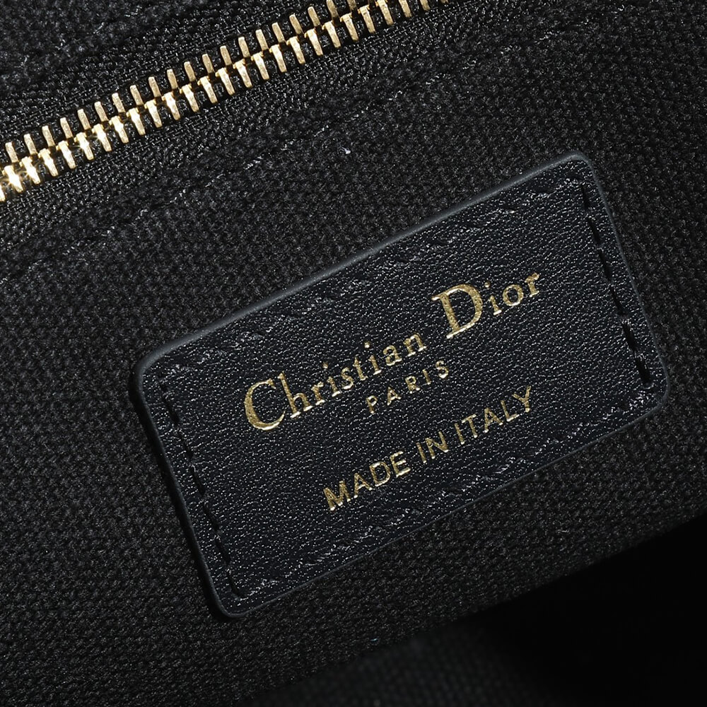 medium D10r book tote