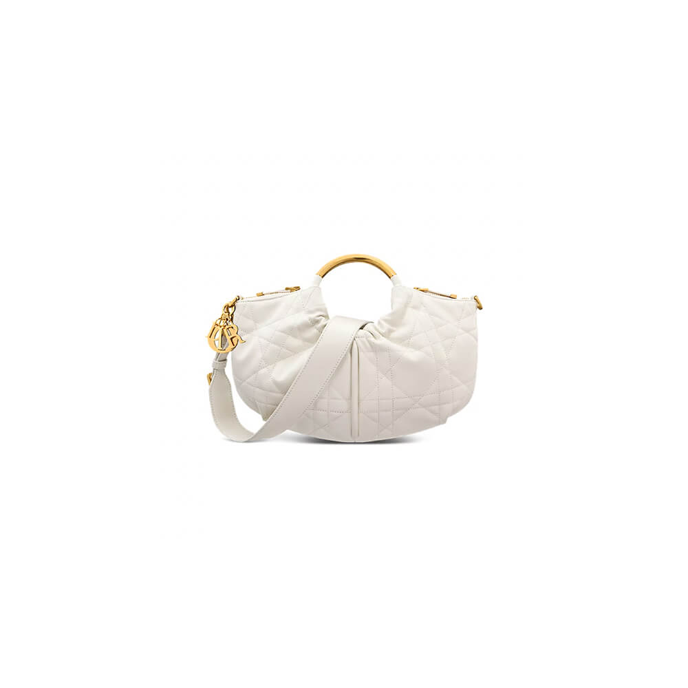 D10r walk in D10r purse