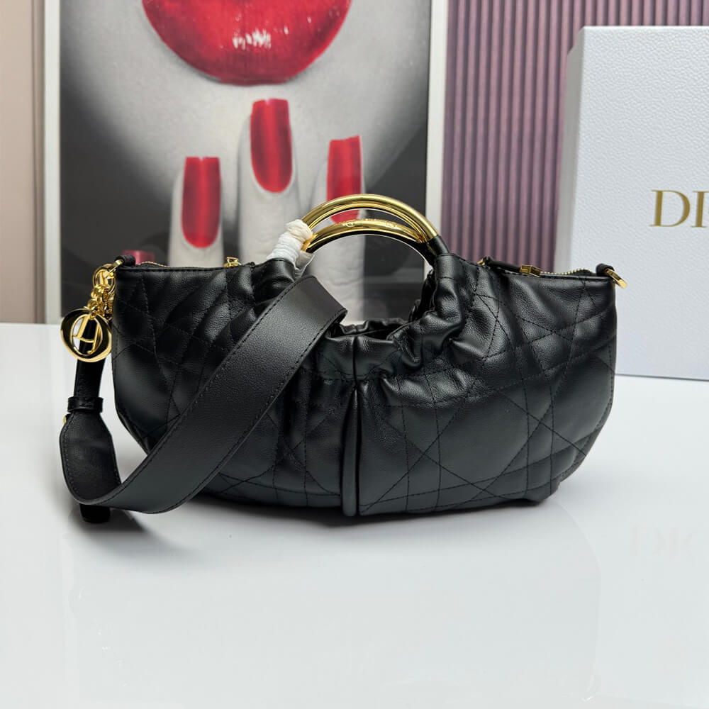 D10r walk in D10r purse