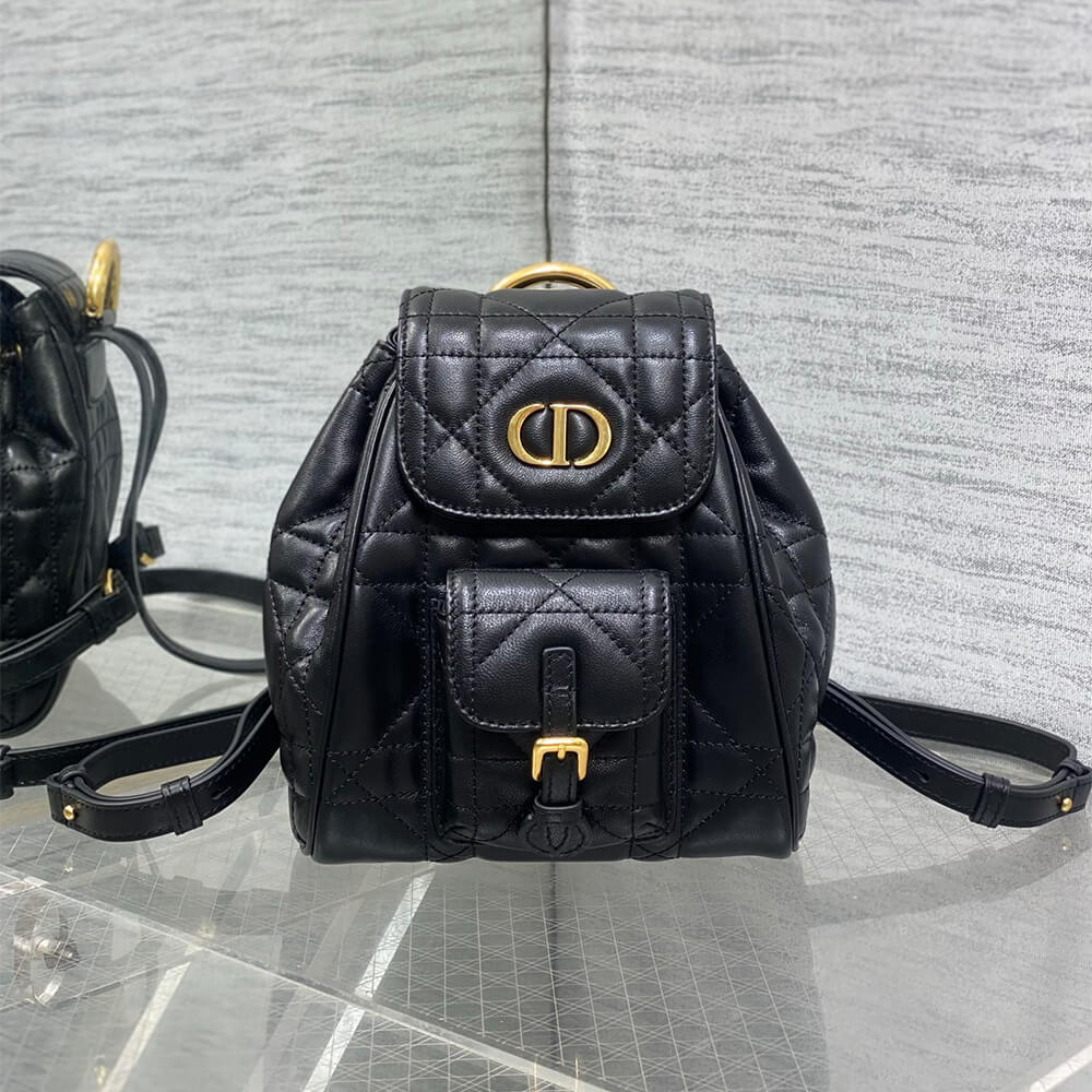 small D10r caro backpack
