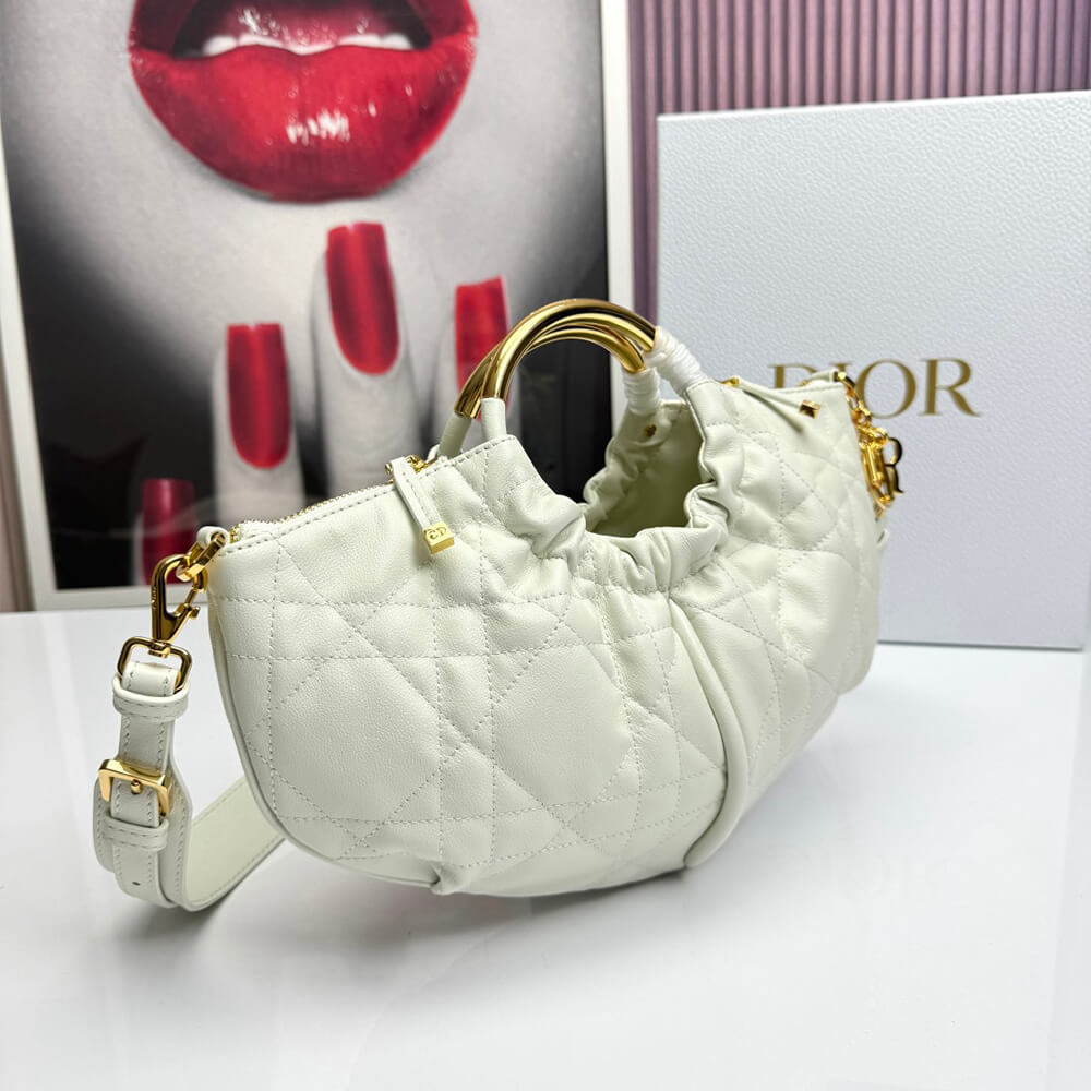 D10r walk in D10r purse