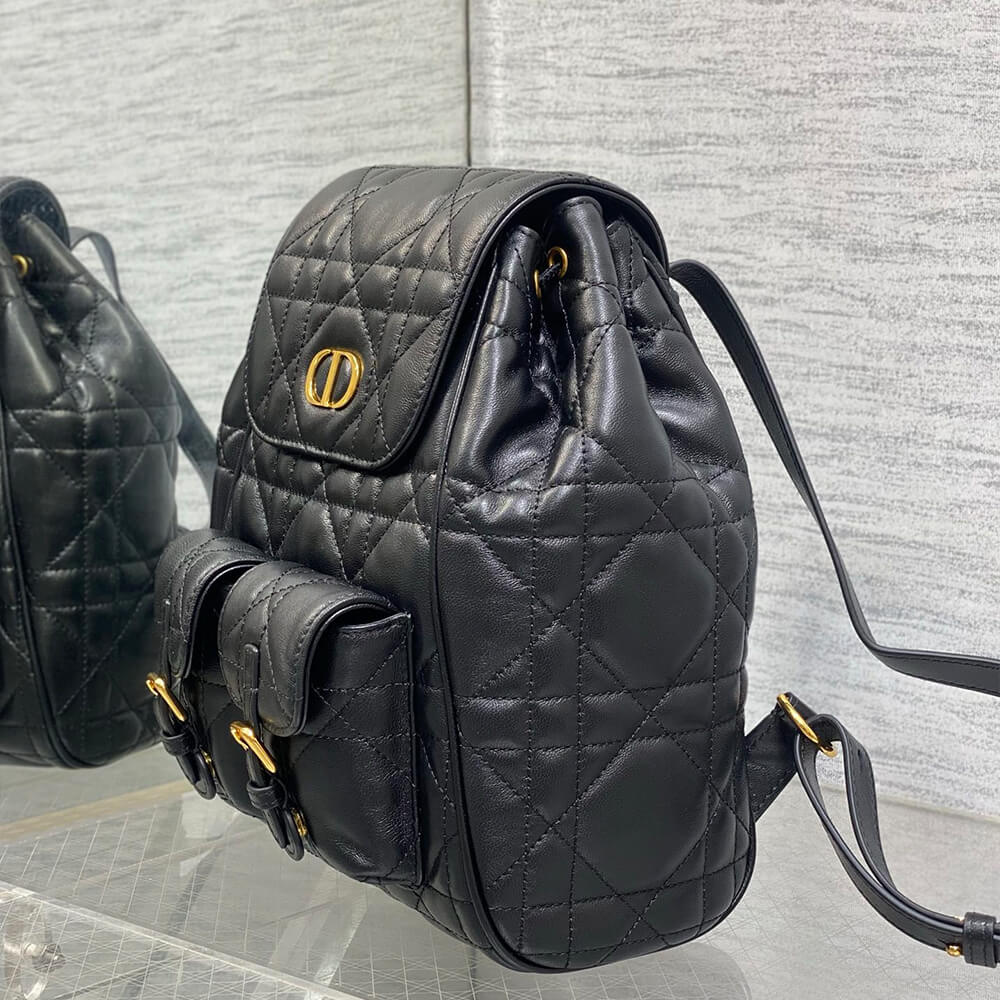 medium D10r caro backpack