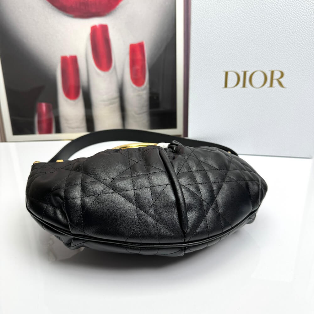 D10r walk in D10r purse