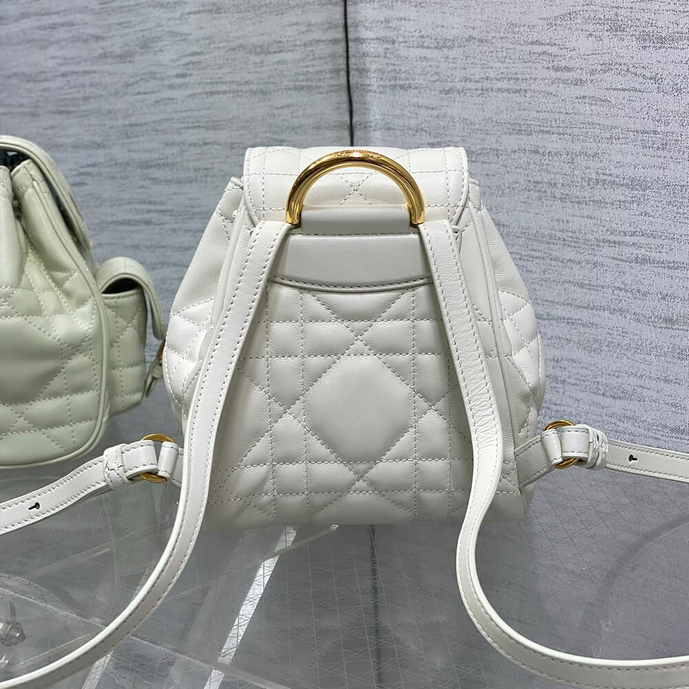 small D10r caro backpack