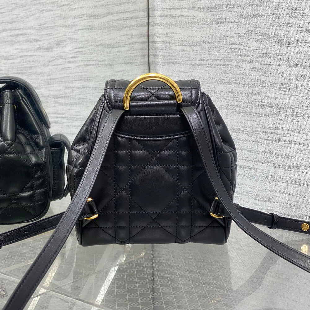 small D10r caro backpack