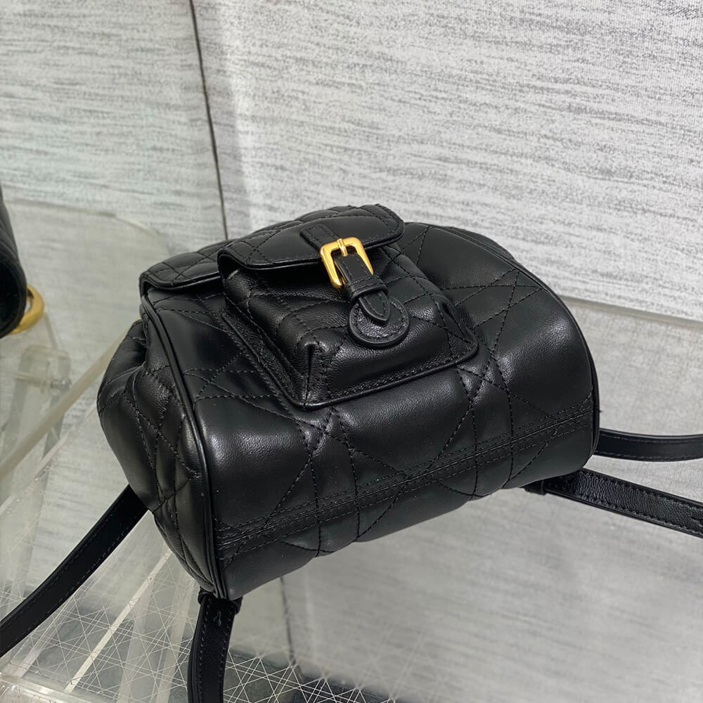 small D10r caro backpack