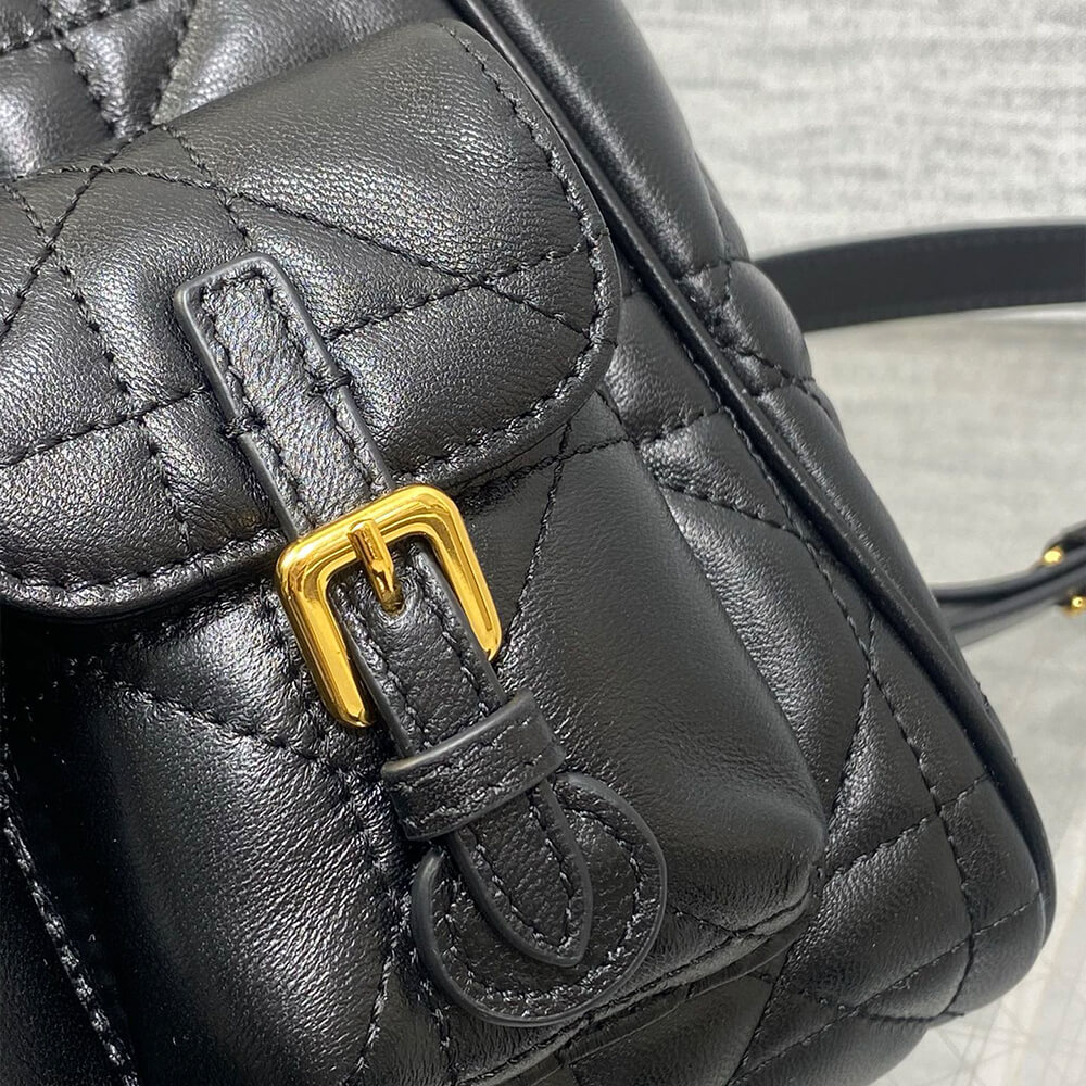 medium D10r caro backpack